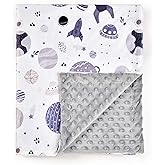 Baby Blanket, Soft Minky Warm Blanket for Boy or Girl, Receiving Blanket with Double Layer Dotted Backing for Newborns Nursery Stroller Toddlers Crib Bedding (30 x 40 Inch) Grey Space