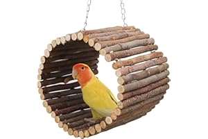 OOOCT Bird Parrot Swing Toys, Hanging Bird Tree Caves, Natural Apple Wood Parrot Hammock, Bird Cage Accessories, Suitable for Little Bird Parakeets Cockatiels Lovebirds Hamster Rat (6.49" in Diameter)