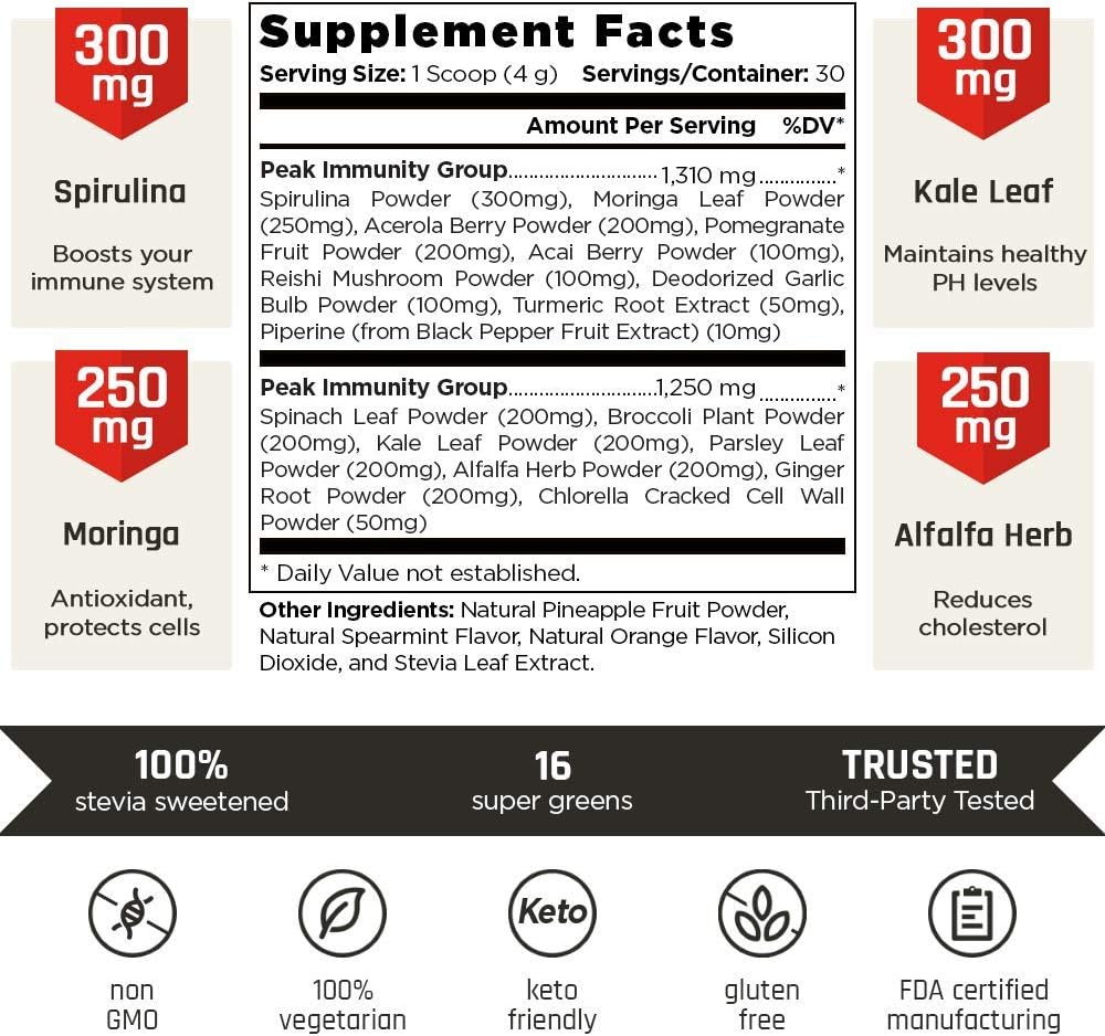 VINTAGE BLOOM Superfood Powder Antioxidant Supplement - 18 Super Greens Ingredients - Immune System Support - Balances pH & Provides Antioxidants - Keto Friendly - Fresh Mint - 30 Servings 120g Powder: Health & Personal Care