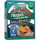 GreenWaterFarm Triops Red Longicaudatus Eggs for Hatching and Culture Suitable to be Pet and Science Project (Pure 200 Eggs)