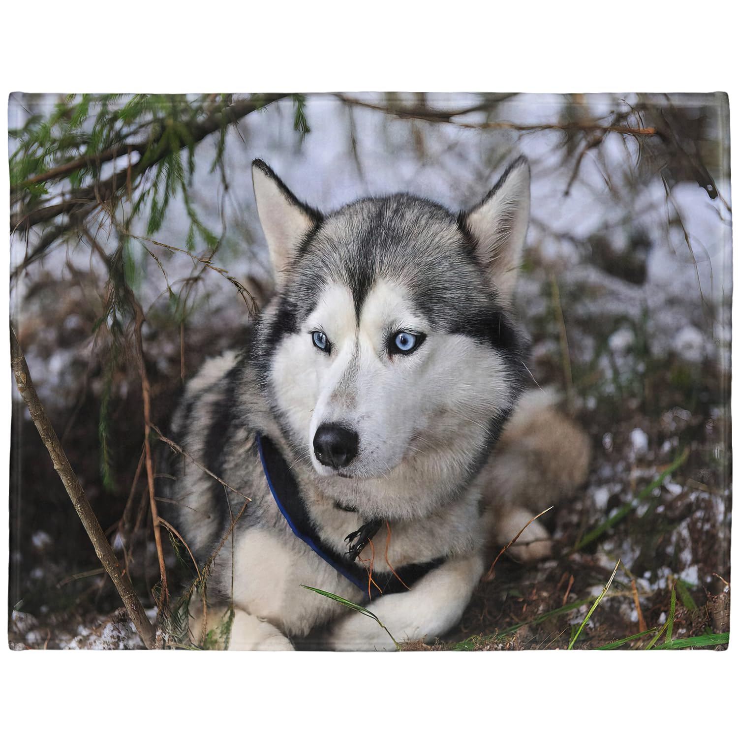 YISUMEI - Soft Fleece Blanket - Siberian Husky, 125 x 200 cm Throw Suitable for Sofa or Bed