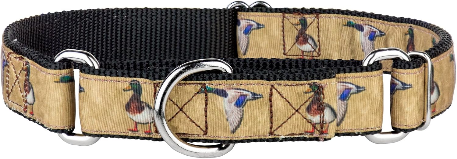 country brook design martingale dog collar