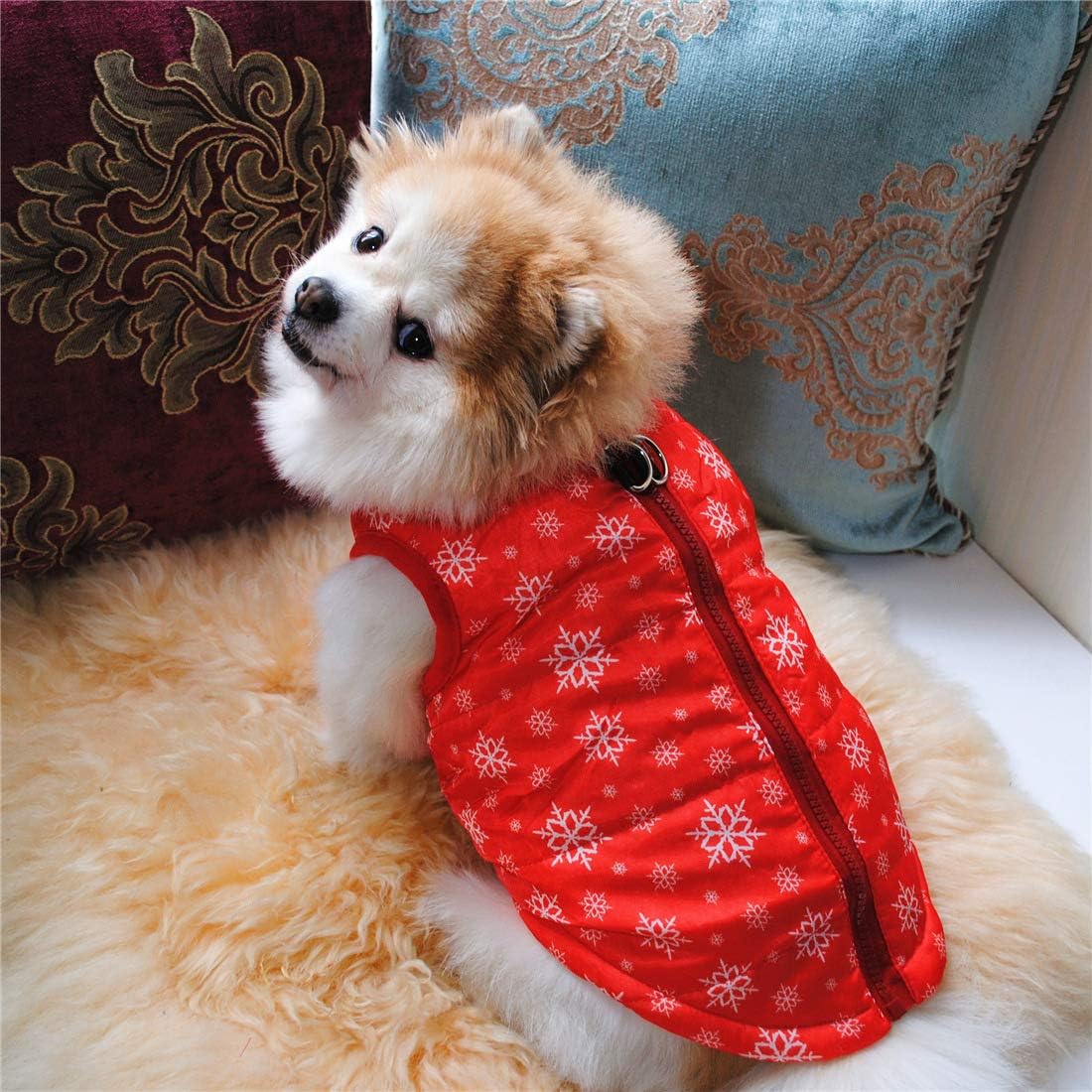 N / A Pet Winter Clothes,Small Dog Warm Coat Jackets Pet Christmas Clothing Costume for Cats Puppy Small Dogs (M, Red Snowflake) - Image 4