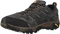 Merrell mens MOAB 2 WTPF Hiking Shoe, Beluga, 10.5 US