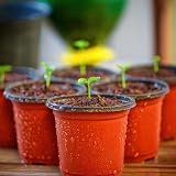 PEYOU 100Pcs 4 Inch Plant Pots Plastic Seedling Nursery Pots 10cm view 6