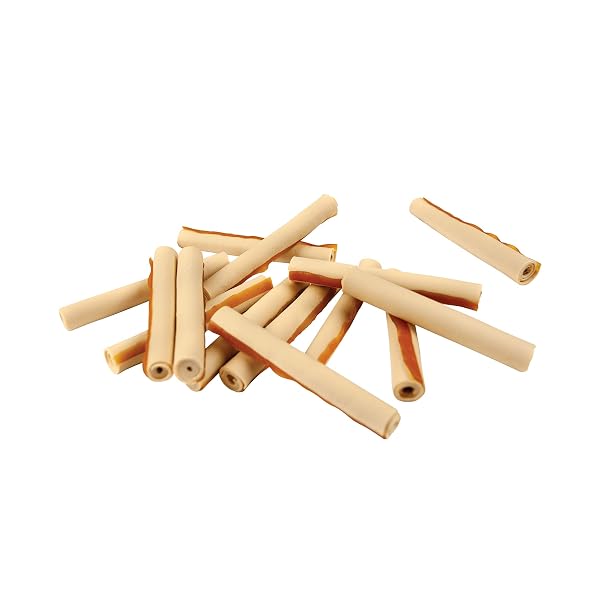 SMARTBONES SKIN AND COAT CARE STICKS 16 COUNT, RAWHIDE-FREE CHEWS FOR DOGS, WITH OMEGA FATTY ACIDS