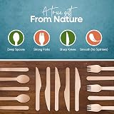 FOOGO Green Disposable Wooden Cutlery Set 150pcs Birch 16cm Eco Biodegradable view 3