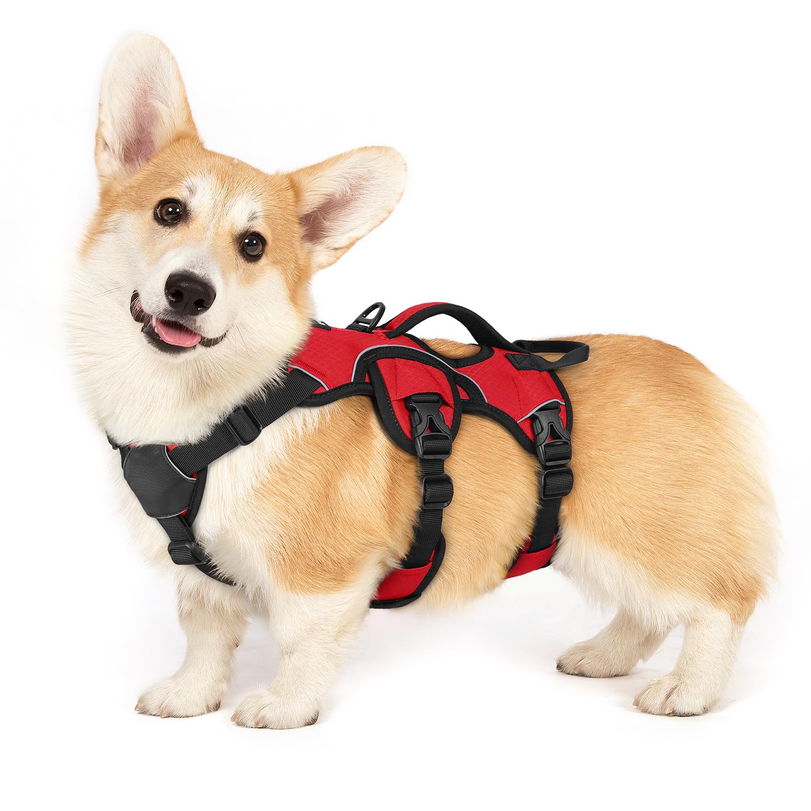 Sunraymascota No Pull Dog Harness, Puppy Vest with Front Clip for S