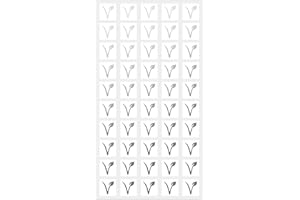 SUNNY BRIDE Wedding Meal Stickers - White Square Stickers - Wedding Meal Indicator Stickers - Meal Choice Stickers (50 Stickers - Vegan, Silver)