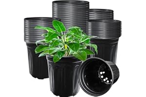 Jgalnim 60 Pack 1 Gallon Nursery Plant Pots,Thickened Flexible Plastic Seedling Pot with Holes,Flower Plant Container for Succulents,Cuttings,Transplanting,Home Garden(Black)