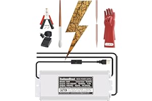 COOLNEON 15kV Lichtenberg Wood Burning Machine Fractal Wood Burning Machine Kit Neon Light Transformer Burner Device High Voltage Neon Power Supply, Not Led Sign Transformer