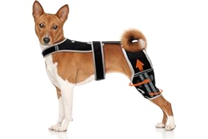 Snagle Paw Adjustable Dog Knee Brace for Hind Leg - Double Leg Orthopedic Support with 4 Metal Stabilizers, Vest Design Dog L