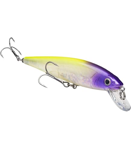 Amazon.com: Strike King KVD Sexy Dawg Fishing Lure, Blue Gizzard
