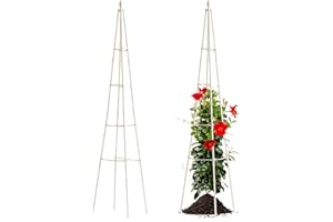 FOLLOOK Garden Trellis for Climbing Plants Outdoor, 64" Tall Plant Trellis with 4-Tier Adjustable Stake Arms - Outdoor Indoor Potted Plant Support for Vine, Vegetable, Obelisk Trellis, White, 1 Pack