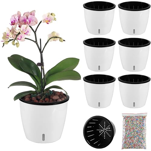 Planterhoma 6.7 Inch Self Watering Pots for Indoor Plants, 6 Packs ...