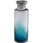 Cyan Design 07306 Neptune Vase, Medium