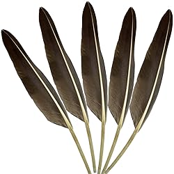 LWINGFLYER 25pcs 10"-12" Long Goose Feathers Quill