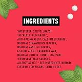 Peppersmith Strawberry Pastilles - Vegan Sugar Free Xylitol Breath Freshener view 4