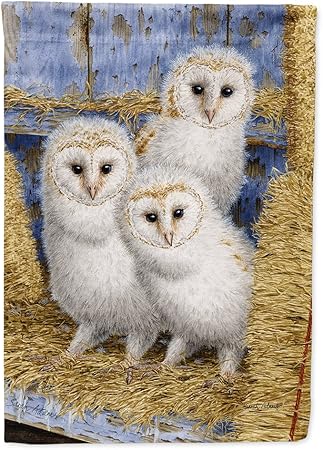 Amazon Com Caroline S Treasures Asa2076chf Barn Owl Chicks Flag