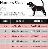 PoyPet No Pull Dog Harness with Neck Release Buckle XS Black view 2