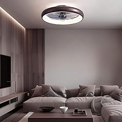 LUDOMIDE Ceiling Fan with Lights and