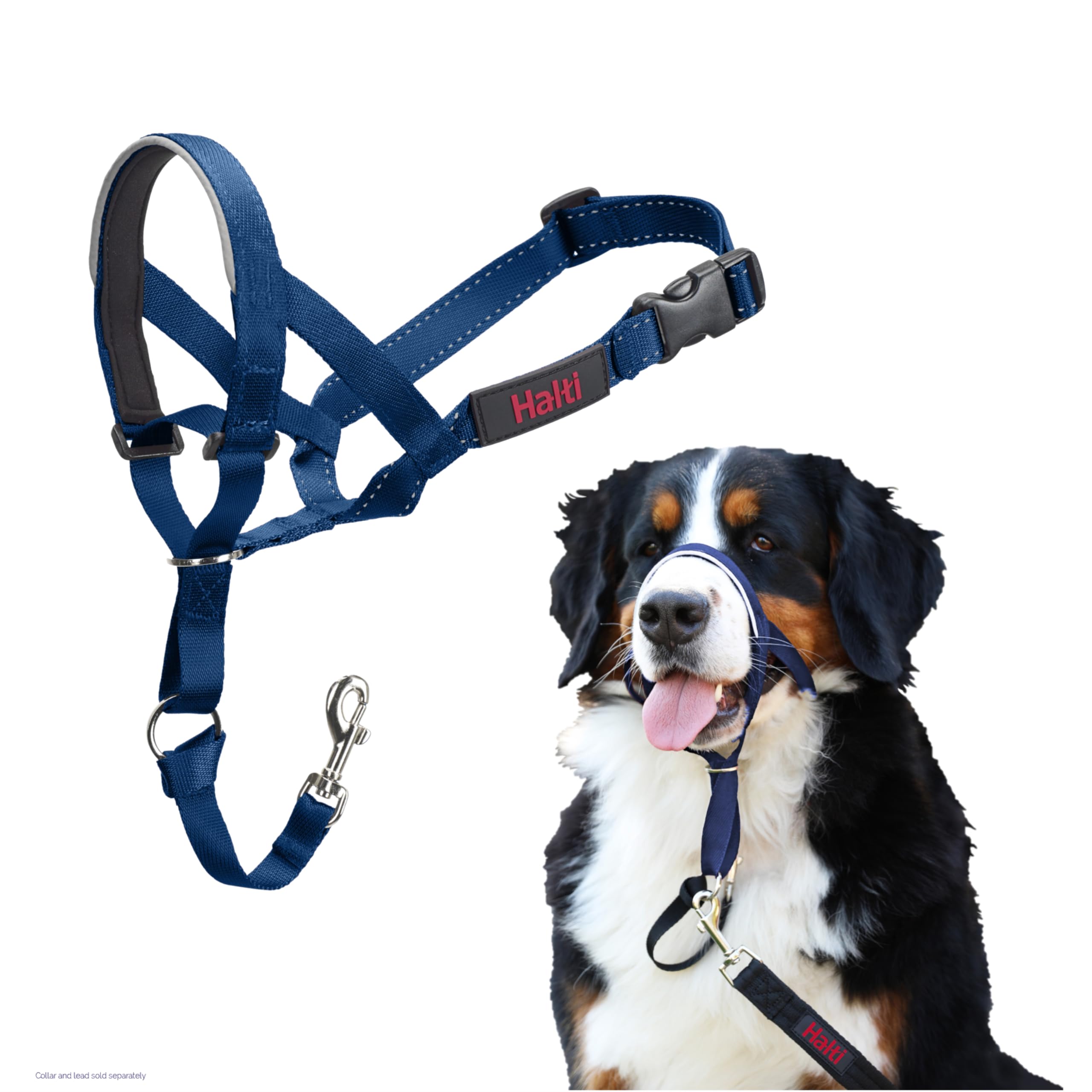 Halti Headcollar - Stop Your Dog Pulling on the Lead. Adjustable, Reflective and Lightweight, with Padded Nose Band. Dog Training Anti-Pull Collar for Large Dogs (Size 4, Cobalt Blue)