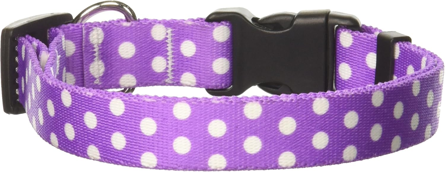 Purple polka dot dog collar Clearance
