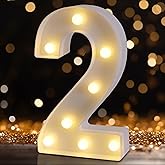 LED Marquee Numbers, 2025 Light Up Numbers for Party, Small Light Up Letters, Battery Powered Lighted Number for Birthday or Home Decor