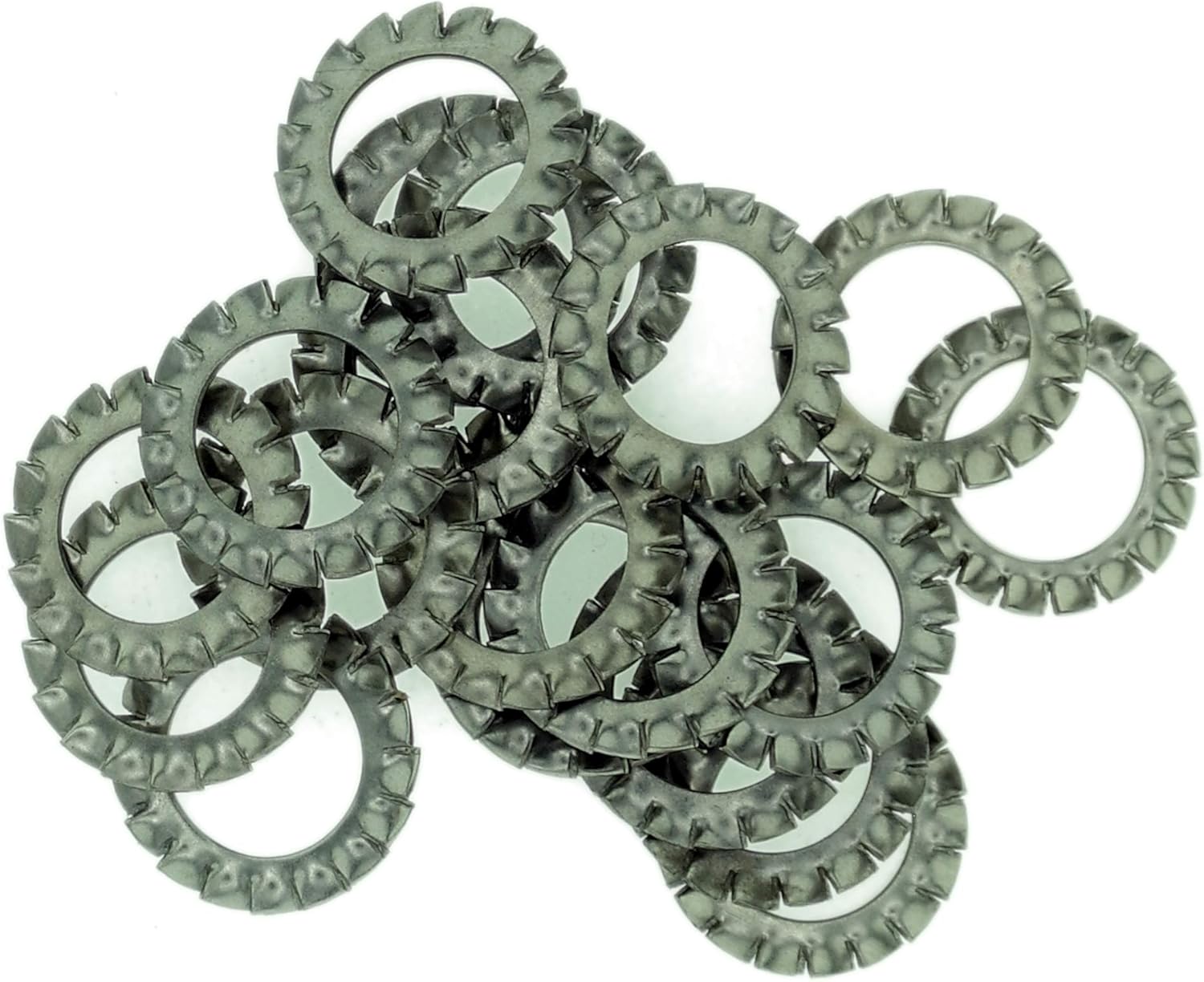M16 (16mm) Shakeproof Washer (External Serrated) - Stainless Steel (A2) (Pack of 20), M16 - ExternalSerrated - A2 (20)