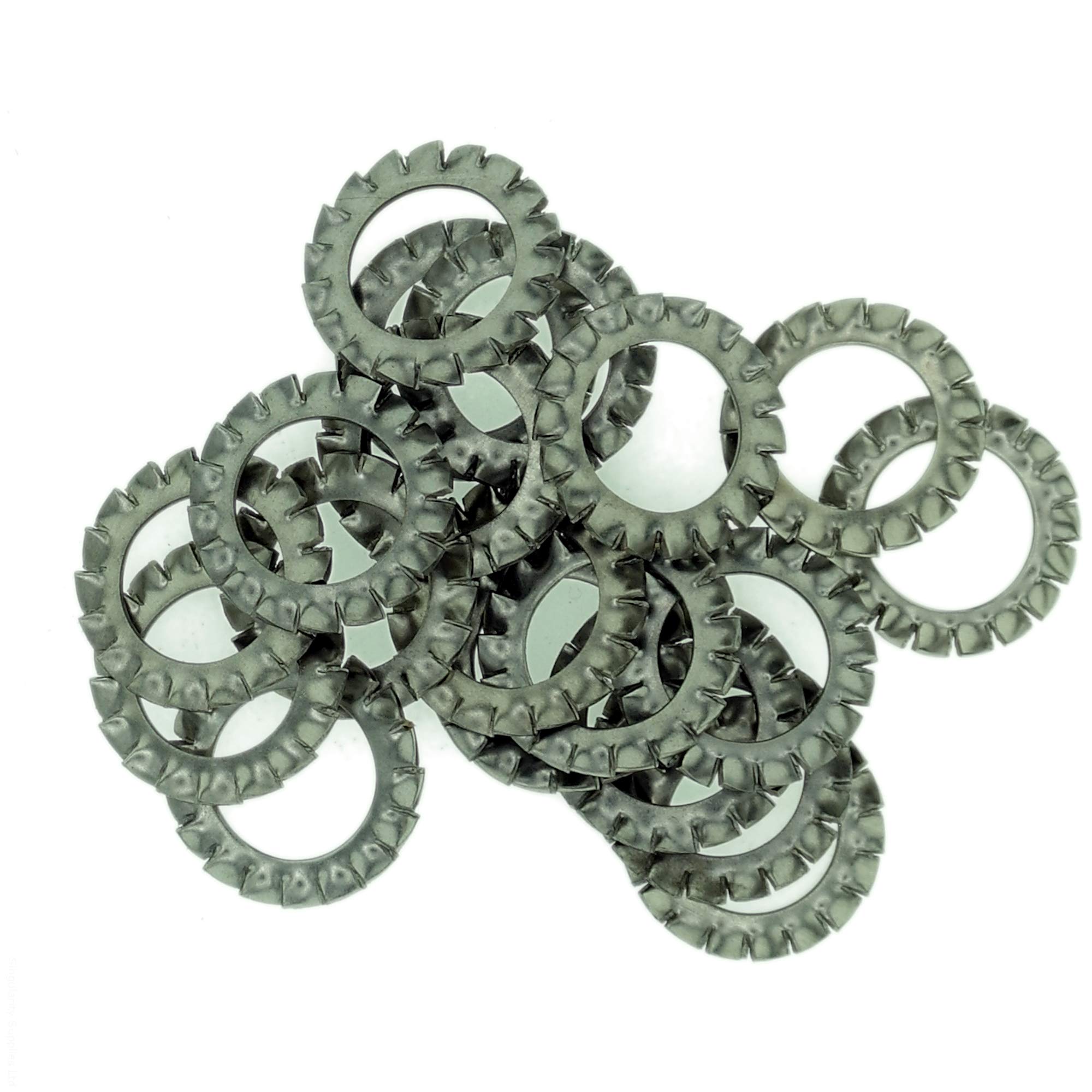 M16 (16mm) Shakeproof Washer (External Serrated) - Stainless Steel (A2) (Pack of 20) โ image 1
