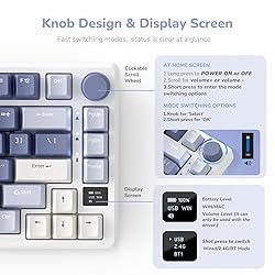 RK ROYAL KLUDGE M75 Mechanical Keyboard with OLED