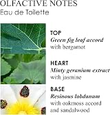 Molton Brown Geranium Nefertum Eau De Toilette 50ml New view 3