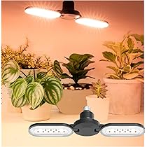 ZONE LED冷蔵庫 楽天市場】冷蔵庫 コンプレッサー式 LED ネオン コンパクト 小型