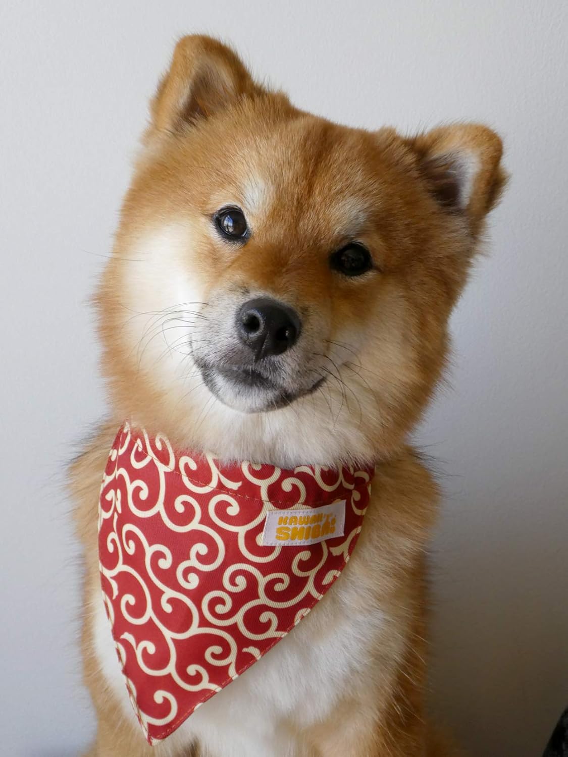 Kawaii Shiba Co Karakusa Japanese Shiba Inu Dog Bandana With Adjustable Collar