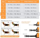 HEELE Reflective Dog Harness with Padded Handle L Orange 2 D Rings view 5