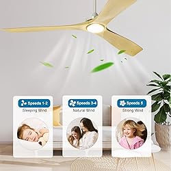 Depuley 60" Ceiling Fans with LED Lights and
