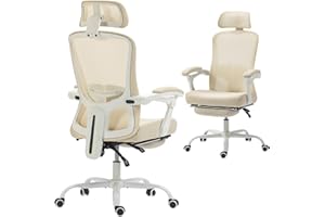 HOMCOM Ergonomic Office Chair, Mesh Reclining Desk Chair with 2D Lumbar Support, 2D Headrest, Footrest, Adjustable Height, Sw