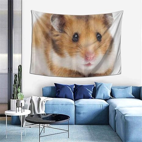 Amazon Co Jp Gukisala タペストリー かわいいハムスター脂肪ペット 多機能 毛布 おしゃれな壁掛け インテリア ファブリック装飾用品 モダンなアート 和風 壁掛け クールジャパン 家飾り ホーム キッチン