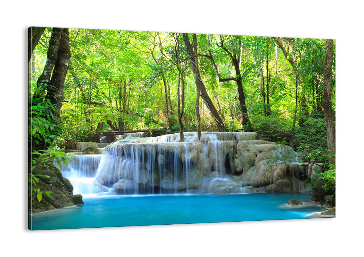 Cuadros naturaleza