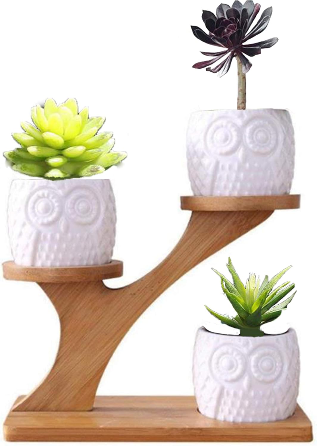 MINGZE 3 Pack Owl Succulent Ceramic Plant Pots for Home Office Desk (With Wooden Stand)