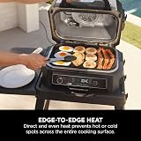 Ninja Woodfire XL Flat Plate Non-Stick Griddle Plate OG850 OG901 view 4