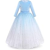 Flower Girl Velvet Floral Gradient Sequins Dress for Kids Wedding Bridesmaid Pageant Communion Formal Princess Puffy Gown