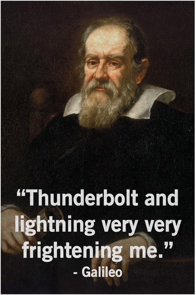 Thunderbolt and Lightning Very Very Frightening Me Galileo Funny Cool Wall Decor Art Print Poster 24x36