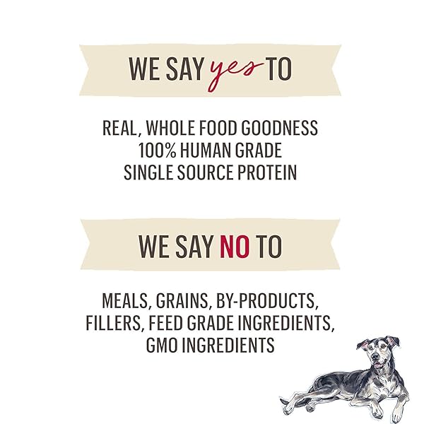 THE HONEST KITCHEN HUMAN GRADE WHOLEMADE™ DEHYDRATED DOG FOOD, GRAIN FREE TURKEY DOG FOOD, 2 LB BAG