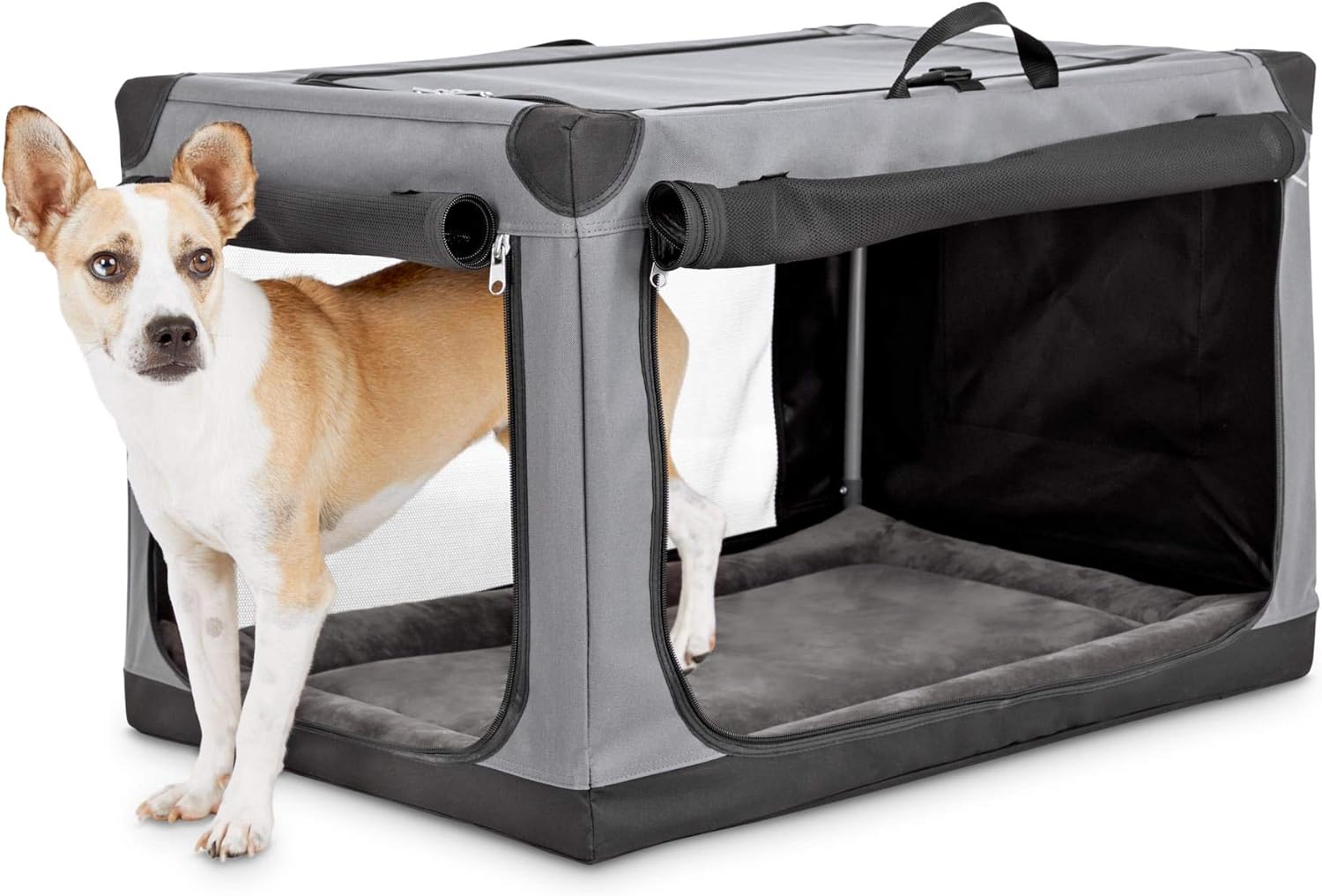canvas dog crate
