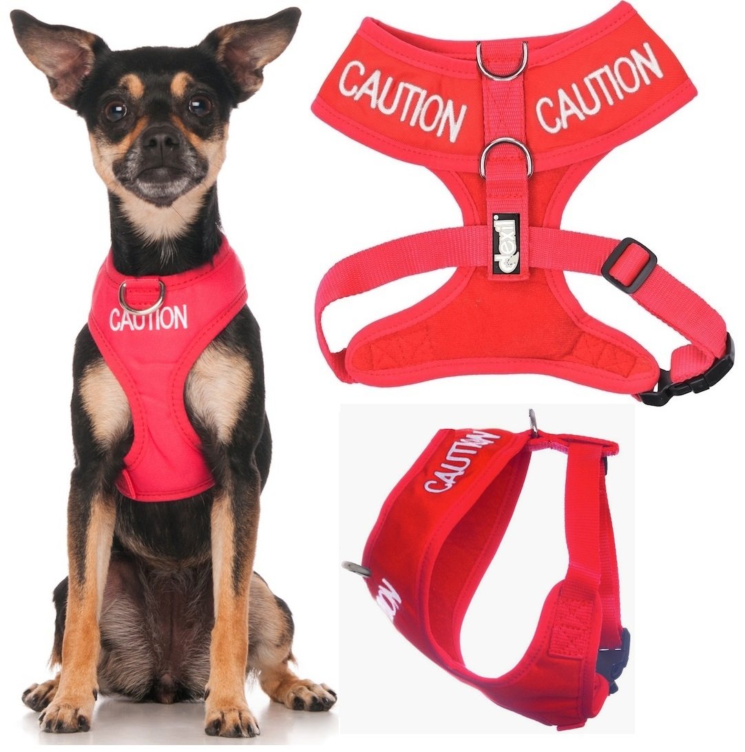 Dexil CAUTION (Do Not Approach) Red Colour Coded Non-Pull Front and Back D Ring Padded and Waterproof Vest Dog Harness PREVENTS Accidents By Warning Others Of Your Dog In Advance (XS)