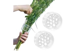 ZXTRBY 2Pcs Spiral Ikebana Stem Holder,2024 New Vase Spiral Stem Holder,Plastic FlowerArranging Tool,DIY Flower Arrangement Accessories(S+L)