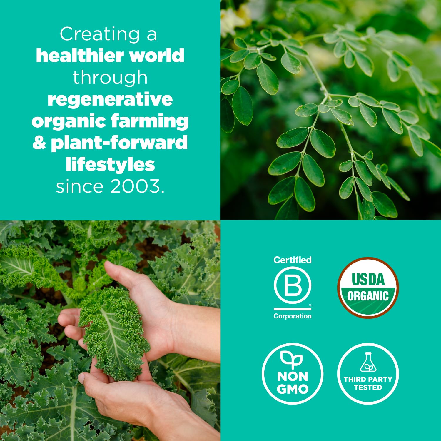 Navitas Organics Superfood+ Greens Blend for Detox Support (Moringa + Kale + Wheatgrass), 6.3oz Bag, 30 Servings — Organic, Non-GMO, Vegan, Gluten-Free, Keto & Paleo.…