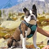 Eagloo Dog Harness Medium No Pull Front Back Clips Reflective Adjustable view 9