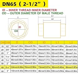 MYWERO 2-1/2" One Check Valve, Female Threaded